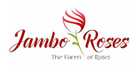 jambo-roses