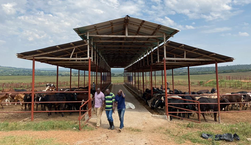 Transaction-advisory1